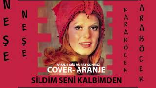 Sildim Seni Kalbimden Cover Karaoke aranje [upl. by Elma]