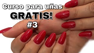 Clase 3 COMO APLICAR UÑAS ACRÍLICAS CON TIP NATURAL 💖 PRINCIPIANTES [upl. by Marlow]