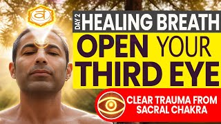 Breathing Techniques to Activate Your Pineal Gland and Open Your Third Eye [upl. by Arik]