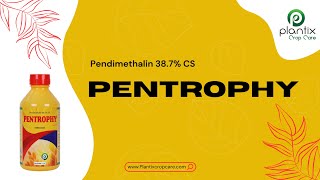 PENTROPHY Pendimethalin 387 CS [upl. by Igenia283]