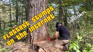 Sharp Saws and Flat Stumps Textbook Tree Cutting [upl. by Anes]