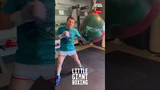 CANELO DESTROYS HEAVY BAG TRAINING FOR CHARLO FIGHT [upl. by Korella]