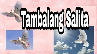 Grade 3 Tambalang Salita  MELC  Third Grading [upl. by Tressia]