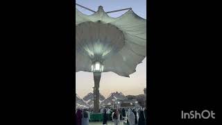 madina mosque in fajr time wonderfulmasha allah [upl. by Morena]