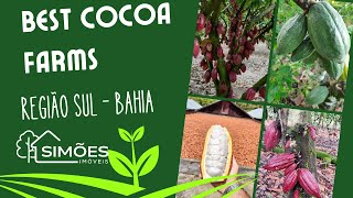 Cocoa Best Farms [upl. by Yelra850]