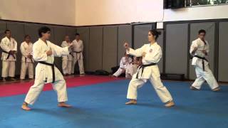 Gojushiho Sho Bunkai [upl. by Helve]