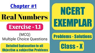 Chapter 1 Real Numbers Exercise 11 solutions  NCERT Exemplar class 10 Maths [upl. by Kaspar]