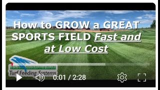 How to GROW a GREAT Fast and at LOW COST [upl. by Udale]