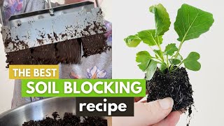 The Soil Block Recipe Youve Got to Try [upl. by Aicertal83]