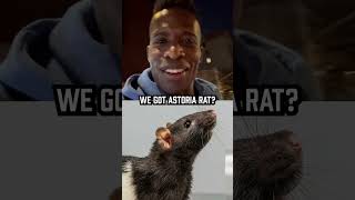 Rats Get Roasted In New York [upl. by Atima]