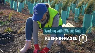 Kuehne  Nagel on volunteering with CVA buildbacknature [upl. by Annawd]