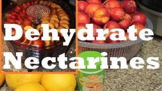 How to make Dehydrated Dried Nectarine Fruit with Waring Pro Food Dehydrator [upl. by Ulla]