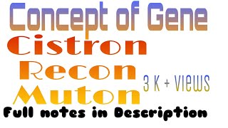 cistronmutonrecon Concept of Gene and Cistron Muton Recon [upl. by Ivonne713]