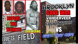 Brooklyn Gang War  The Folks Nation Gds Ebbets Field VS The Eight Trey Crips Vanderveer Houses [upl. by Ralyks]