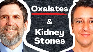 Oxalates amp Kidney stones  Dr David Goldfarb MD [upl. by Araeit]