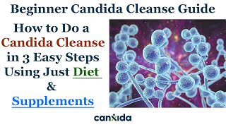 Beat Candida Naturally The Proven 3Step Cleanse Strategy for WholeBody Wellness [upl. by Nawk349]