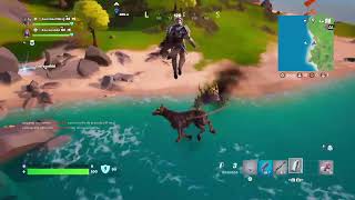 Live 052  FORTNITE Remix  Ranqueada  Dupla [upl. by Karlotta73]