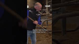 Kunstmest of dierlijke mest uitrijden Boer Luc weet dat wel oost shorts mest [upl. by Dinny50]