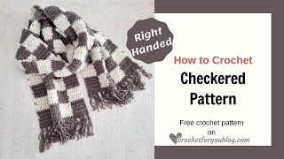 How to Crochet Checkered Pattern for Beginners  Easy Crochet Tutorial and Scarf Pattern [upl. by Tekcirc]