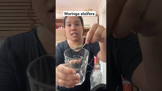 Como tomar moringa oleifera em pó [upl. by Avehstab]