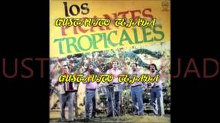 LOS PICANTES TROPICALES ENGANCHADO [upl. by Alyekahs]