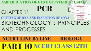 PART10 PCRPOLYMERASE CHAIN REACTIONBIOTECHNOLOGYCLASS 12TH BIOLOGY CHAPTER 11 NCERT [upl. by Celle730]