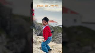 Dream big music calmdown shorts shortsvideo amor love [upl. by Annauj]