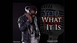 Sarkodie  This Is Mixtape Crazy Freestyle [upl. by Lertsek752]