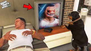 Chop Found Secret Mirror Inside Franklins Room In Gta 5 [upl. by Langill]