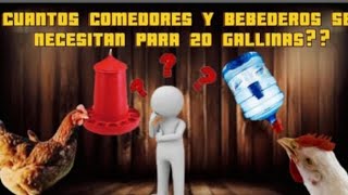 GUÍA PRÁCTICA Cantidad ideal de comederos y bebederos para 20 gallinas [upl. by Abigale]