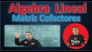 Matriz de Cofactores Determinante de una matriz 3 x 3  Grossman K Hoffman R Kunze [upl. by Womack]