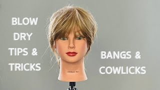 Blow Dry Tips amp Tricks  Bangs amp Cowlicks [upl. by Chasse]