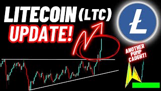 Litecoin LTC Crypto Coin Update [upl. by Alonzo]