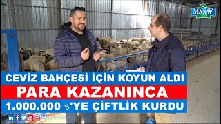 Ceviz Bahçesi İçin Koyun Aldı Para Kazanınca 1000000 ₺ye Çiftlik Kurdu [upl. by Adriano258]