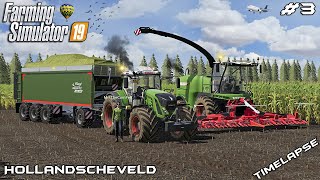 Silage harvest with MrsTheCamPeR 🇳🇱  Animals on Hollandscheveld  Farming Simulator 19  Episode 3 [upl. by Babb]