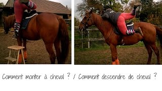 Comment monter a cheval  Descendre de cheval [upl. by Ynar]