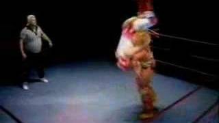 Ultimate Warrior versus Phil Collins  WrestleCrap [upl. by Marienthal]