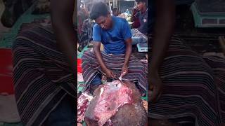 Great meat cutting show shorts great meatcutting cuttingshow fattiestcuts cutsofbeef butcher [upl. by Mlehliw401]