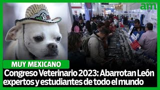 Arranca el Congreso Veterinario 2023 expertos y estudiantes de todo el mundo llegan a León [upl. by Jahn]