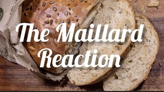 What is Maillard Reaction  Mechanism of Maillard Reaction maillardreaction [upl. by Aziza]