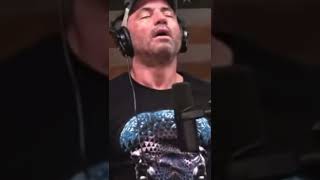 Joe Rogan Experience DMT And Its Awesomeness [upl. by Westberg895]