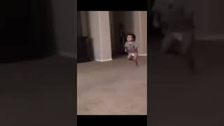 Baby running for its life 😱🤯😱🤯😱🤯Ritterplayz English or Spanishfunny memes￼ [upl. by Elyrehc671]