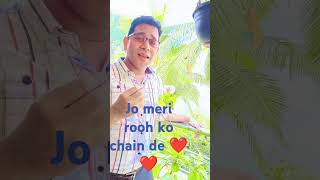 jo meri rooh ko chain de bollywood song music love hindisong ❤️❤️❤️ [upl. by Sharos]