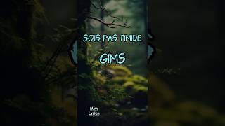 Sois Pas Timide Paroles  Gims shorts gims tendance musique [upl. by Koeninger]