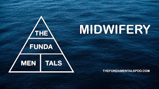 Midwifery  The Fundamentals [upl. by Cavit806]