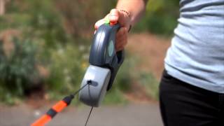 Dual Doggie Retractable Leash For 2 Dogs [upl. by Enitnemelc]