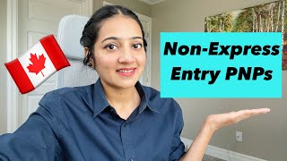 New Brunswick EOI Guide Express Entry 2023 Provincial Nominee Program Explained StepbyStep [upl. by Airlee]