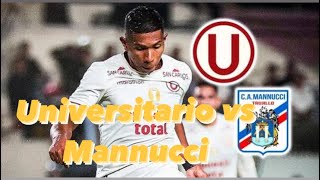 Universitario vs Mannucci Posibles Alineaciones y Análisis del Debut en la Liga 1 [upl. by Ainet381]