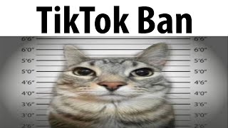 TikTok Ban [upl. by Suter]