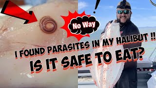 I Found Parasites Worms In My Halibut Is It Safe To Eat [upl. by Estrin]